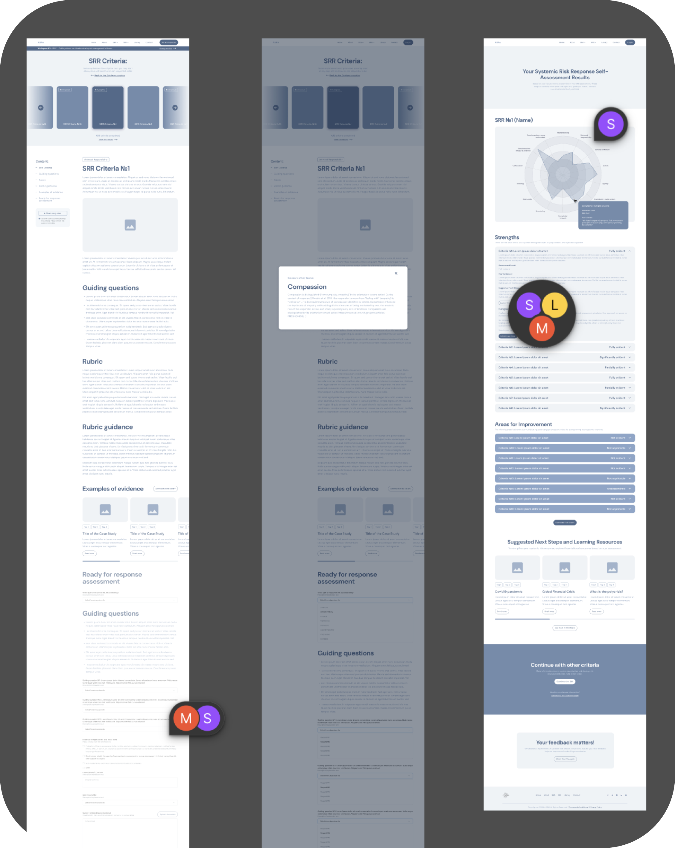 Three wireframes of the SRR criteria and assessment results pages